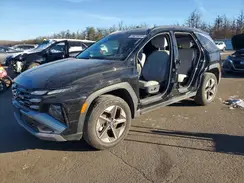 3KMJCCDE3SE007938 2025 HYUNDAI TUCSON