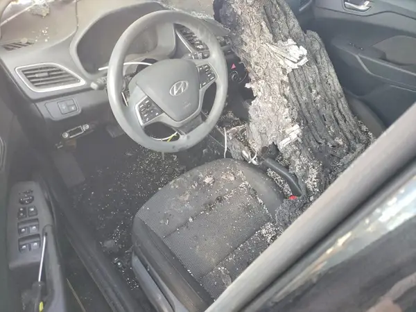 3KPC24A30KE055260 2019 HYUNDAI ACCENT - Image 8