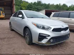 3KPF24AD0KE117343 2019 KIA FORTE