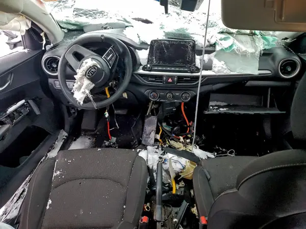 3KPF24AD1LE169596 2020 KIA FORTE - Image 8