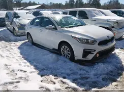 3KPF24AD2KE022847 2019 KIA FORTE