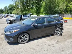 3KPF24AD2RE768824 2024 KIA FORTE