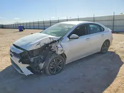 3KPF24AD3RE818033 2024 KIA FORTE