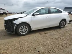 3KPF24AD4PE557976 2023 KIA FORTE
