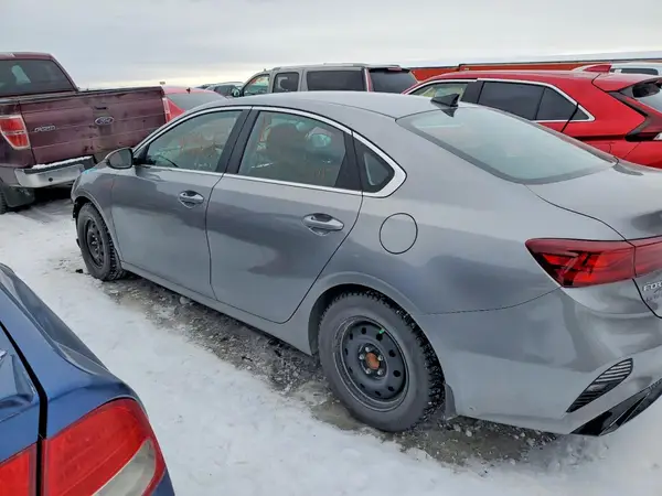 3KPF24AD4RE765617 2024 KIA FORTE - Image 2