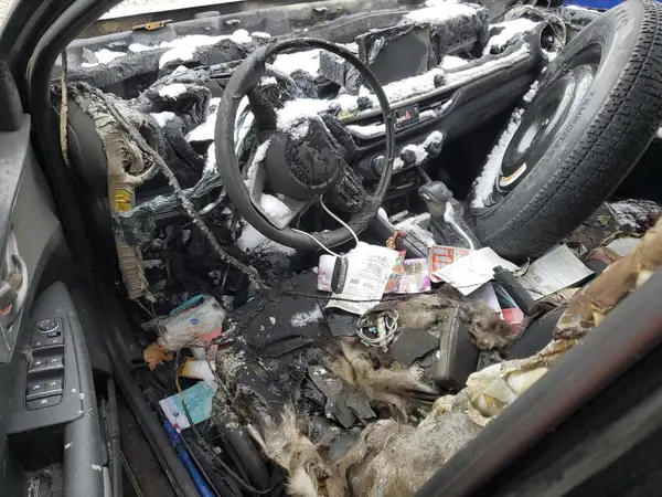 3KPF24AD5NE462596 2022 KIA FORTE - Image 8