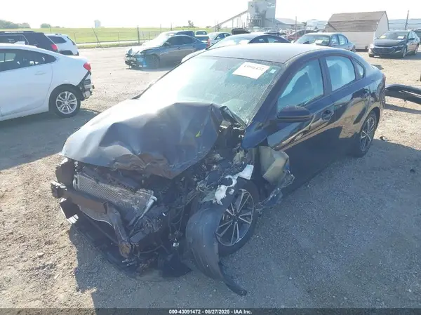 3KPF24AD5RE800679 2024 KIA FORTE - Image 2