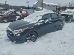 3KPF24AD7PE520226 2023 KIA FORTE