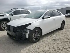 3KPF24AD7RE833392 2024 KIA FORTE