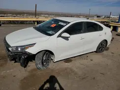 3KPF24AD8KE080929 2019 KIA FORTE
