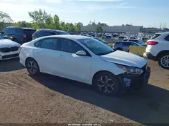 3KPF24AD9KE117003 2019 KIA FORTE
