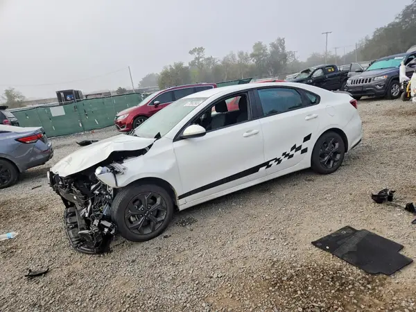 3KPF24AD9LE225073 2020 KIA FORTE - Image 1