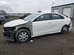 3KPF24ADXKE044918 2019 KIA FORTE