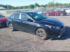 3KPF24ADXRE789663 2024 KIA FORTE