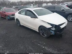 3KPF34AD0LE236217 2020 KIA FORTE