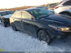 3KPF34AD0PE559849 2023 KIA FORTE