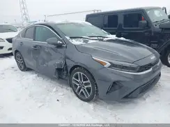 3KPF34AD0PE673544 2023 KIA FORTE