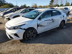 3KPF34AD0RE839600 2024 KIA FORTE