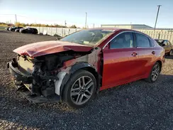 3KPF34AD1RE786969 2024 KIA FORTE