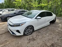 3KPF34AD2RE803293 2024 KIA FORTE