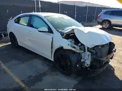 3KPF34AD3KE025723 2019 KIA FORTE