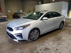 3KPF34AD3KE026239 2019 KIA FORTE
