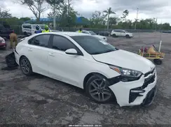 3KPF34AD3KE119391 2019 KIA FORTE