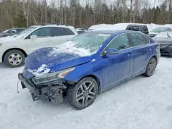 3KPF34AD3PE561661 2023 KIA FORTE