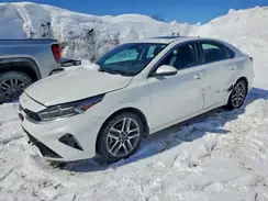 3KPF34AD3PE672713 2023 KIA FORTE