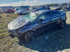3KPF34AD3RE839218 2024 KIA FORTE