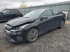 3KPF34AD6RE839231 2024 KIA FORTE