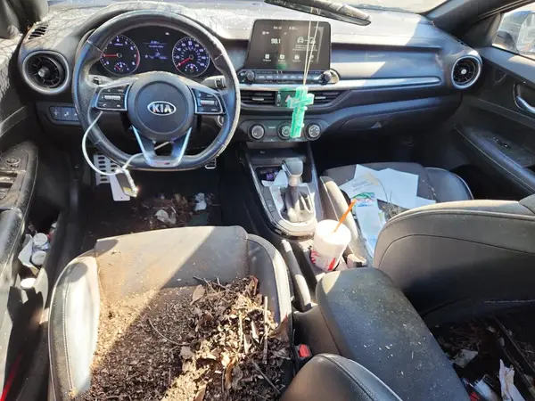 3KPF34AD7ME386553 2021 KIA FORTE - Image 8