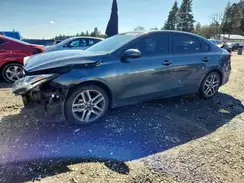 3KPF34AD8KE134064 2019 KIA FORTE
