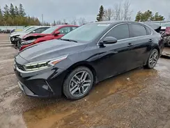 3KPF34AD8RE758909 2024 KIA FORTE