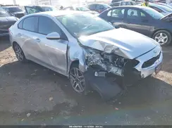 3KPF34AD9KE028481 2019 KIA FORTE