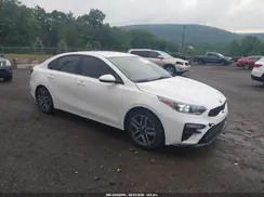 3KPF34AD9KE044891 2019 KIA FORTE
