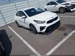3KPF34ADXKE016971 2019 KIA FORTE