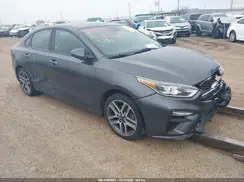 3KPF34ADXKE018445 2019 KIA FORTE