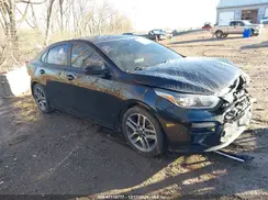 3KPF34ADXKE067614 2019 KIA FORTE