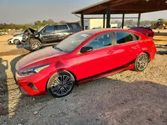 3KPF44AC3RE687221 2024 KIA FORTE