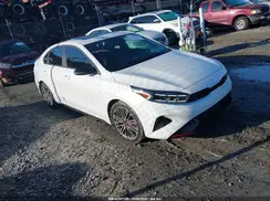 3KPF44AC4RE729587 2024 KIA FORTE