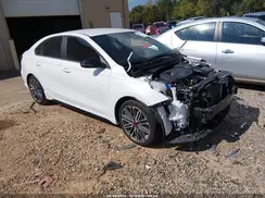 3KPF44AC7RE822118 2024 KIA FORTE