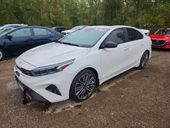 3KPF44AC9RE771611 2024 KIA FORTE