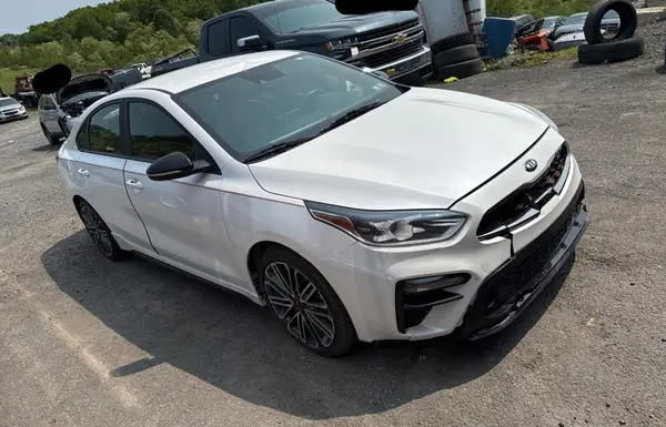 3KPF44ACXLE215296 2020 KIA FORTE - Image 1