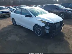3KPF44ACXME293689 2021 KIA FORTE