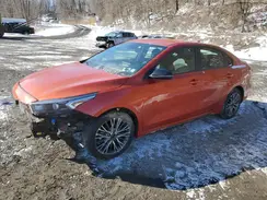 3KPF54AD0PE653501 2023 KIA FORTE
