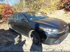 3KPF54AD0PE668273 2023 KIA FORTE