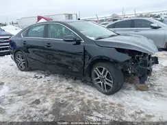 3KPF54AD1LE149128 2020 KIA FORTE