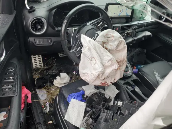 3KPF54AD6RE781499 2024 KIA FORTE - Image 8
