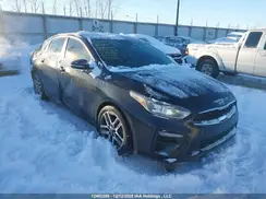 3KPF54AD8LE231485 2020 KIA FORTE